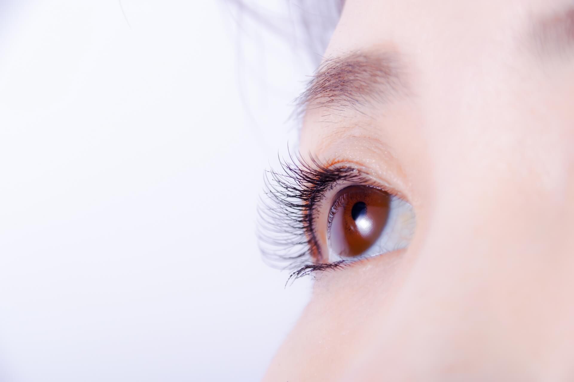 美しいまつげを持つ女性の目元