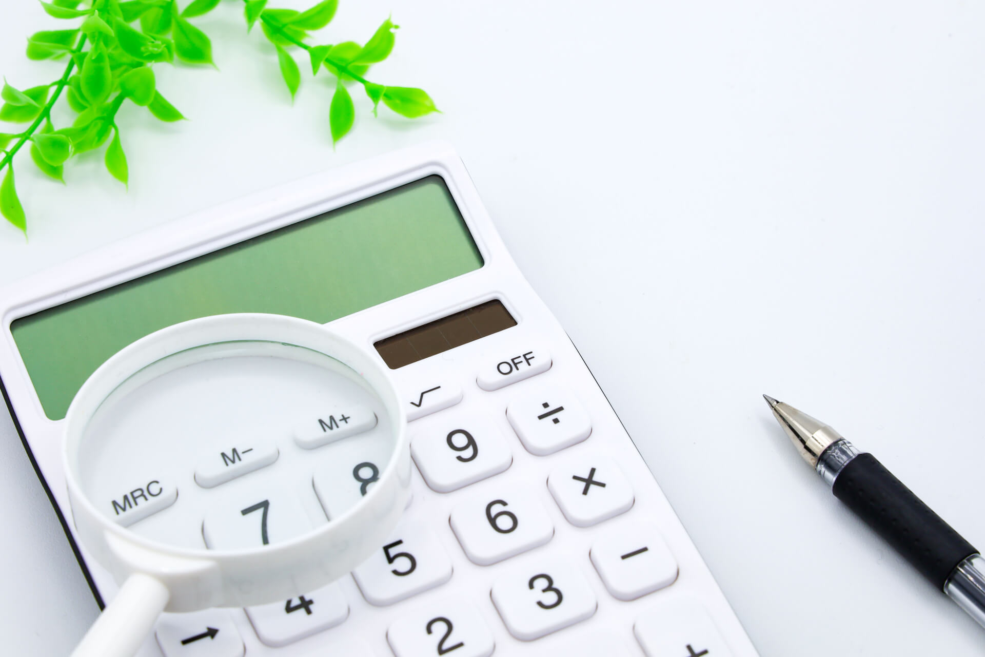 電卓と虫眼鏡で見る緑の葉